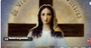 Urgent Appeal To Rome! Fifth Marian Dogma - Amsterdam: I Want To Be Called The Lady of All Nations!